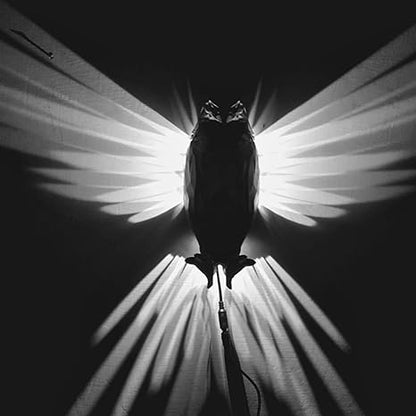 Eagle Luminous 3D Night Lamp | Illuminate your space