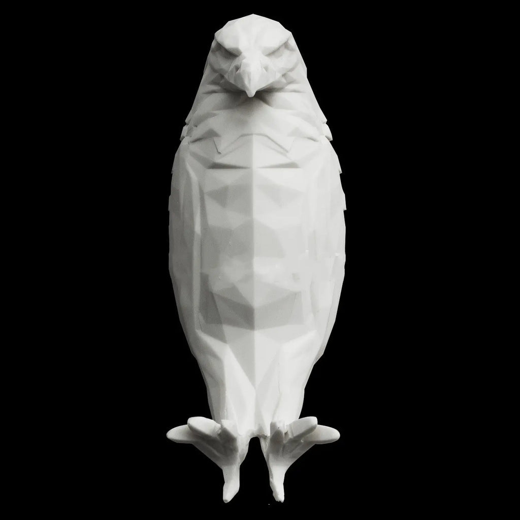 Eagle Luminous 3D Night Lamp | Illuminate your space