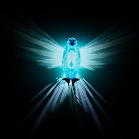 Eagle Luminous 3D Night Lamp | Illuminate your space