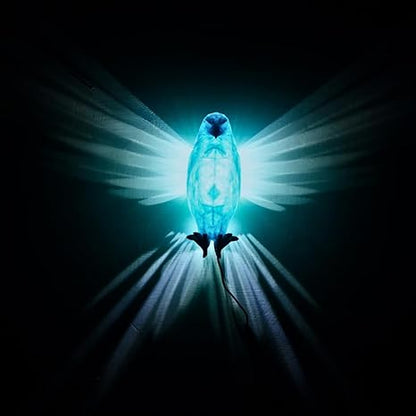 Eagle Luminous 3D Night Lamp | Illuminate your space