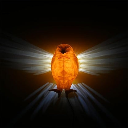 Eagle Luminous 3D Night Lamp | Illuminate your space